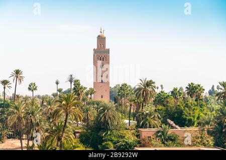 Koutoubia Moschee Minarett mit Palmen im Vordergrund Stockfoto