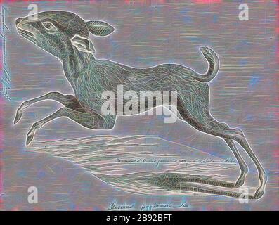 Tragulus javanicus, Print, der Java-Mäusewild (Tragulus javanicus) ist eine Art des gerodeten Huftieres in der Familie Tragulidids. Wenn es reif wird, ist es etwa die Größe eines Kaninchens, was es zum kleinsten lebenden Unhufling macht. Es ist in den Wäldern in Java und vielleicht in Bali zu finden, obwohl Sichtungen dort nicht nachgewiesen wurden., 1700-1880, von Gibon neu vorgestellt, Design von warmem, fröhlichem Leuchten von Helligkeit und Lichtstrahlen. Klassische Kunst mit moderner Note neu erfunden. Fotografie, inspiriert vom Futurismus, die dynamische Energie moderner Technologie, Bewegung, Geschwindigkeit und Kultur revolutionieren. Stockfoto