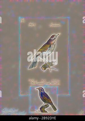 Turdus iliacus, Print, The Rotwing (Turdus iliacus) ist ein Vogel in der Thrush-Familie Turdidae, in Europa und Asien heimisch, etwas kleiner als der zugehörige Song Thrush., 1700-1880, von Gibon neu vorgestellt, Design von warmem fröhlichem Leuchten von Helligkeit und Lichtstrahlen. Klassische Kunst mit moderner Note neu erfunden. Fotografie, inspiriert vom Futurismus, die dynamische Energie moderner Technologie, Bewegung, Geschwindigkeit und Kultur revolutionieren. Stockfoto