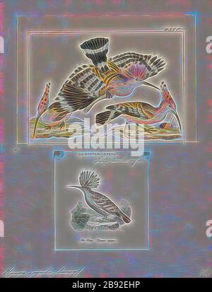 Upupa-Epops, Print, der eurasische Hopfen (Upupa-Epops) ist die am weitesten verbreitete Art der Gattung Upupa, die in Europa, Asien und der nördlichen Hälfte Afrikas beheimatet ist., 1700-1880, von Gibon neu vorgestellt, Design von warmem, fröhlichem Leuchten von Helligkeit und Lichtstrahlen. Klassische Kunst mit moderner Note neu erfunden. Fotografie, inspiriert vom Futurismus, die dynamische Energie moderner Technologie, Bewegung, Geschwindigkeit und Kultur revolutionieren. Stockfoto