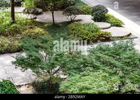 Runde Betonstufen im kleinen Garten. Draufsicht über den Pfad zwischen Büschen und Bäumen. Landschaftsgestaltung nachhaltiger grüner Architektur. Stepping S Stockfoto