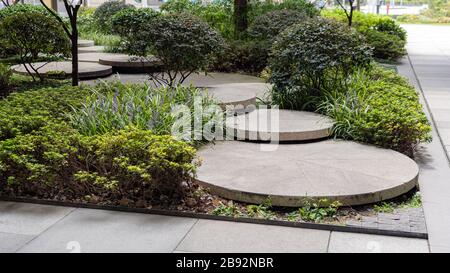 Runde Betonstufen im kleinen Garten. Weg zwischen Büschen und Bäumen. Landschaftsgestaltung nachhaltiger grüner Architektur. Stepping Stones bei GRE Stockfoto