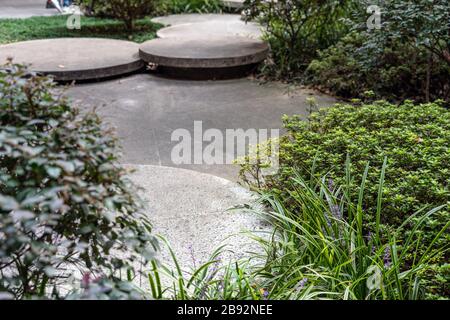 Runde Betonstufen im kleinen Garten. Leitung Zwischen Buchsen. Landschaftsgestaltung nachhaltiger grüner Architektur. Stepping Stones im Grünen. Stockfoto