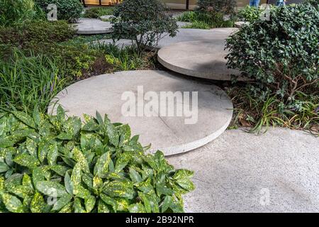 Runde Betonstufen im kleinen Garten. Leitung Zwischen Buchsen. Landschaftsgestaltung nachhaltiger grüner Architektur. Stepping Stones im Grünen. Stockfoto