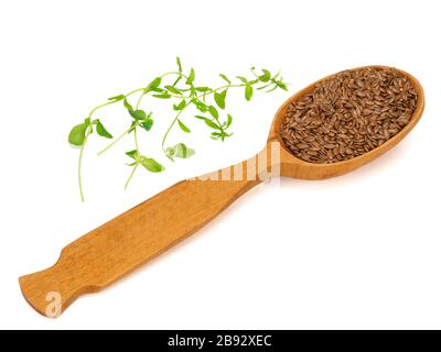 Flachssamen in einem Holzlöffel und Flachsprossen Stockfoto