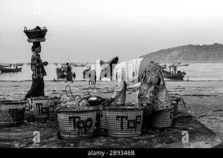 Der morgendliche Fang ist im Fischerdorf Ngapali angekommen. Der Fisch wird an Land gebracht und geteilt oder verkauft. Ngapali, Rakhine-Staat, Myanmar. Stockfoto