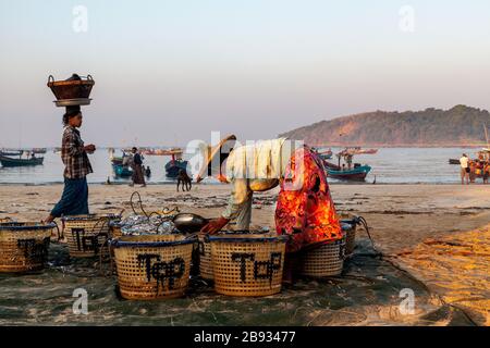 Der morgendliche Fang ist im Fischerdorf Ngapali angekommen. Der Fisch wird an Land gebracht und geteilt oder verkauft. Ngapali, Rakhine-Staat, Myanmar. Stockfoto