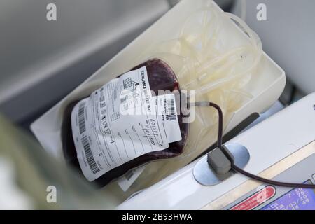 Avetrana, Italien, - Marth 19, 2020. Ein Beutel mit frischem Spenderblut für die Transfusion Stockfoto