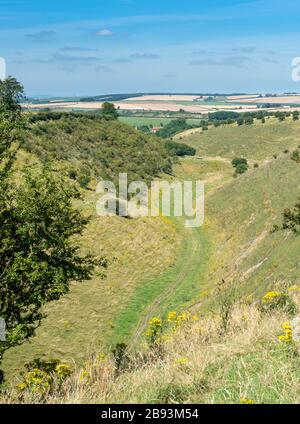 Sommerblick auf das trockene Tal von Deepdale in der Nähe von Wharram Percy in den yorkshire Wolds vom Fernwanderweg Yorkshire Wolds Way Stockfoto