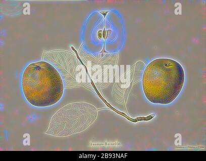Ananas Pippin, Schweizer apfelsorte, signiert: Farbdruck von J. Tribelhorn, Abb. 2, Tribelhorn, J. (IMP.), 1863, Schweizerisch. Landwirtschaftl. Verein (Hg.): Schweizerische Obst-Objekte. [S. l.]: Schweizerischer landwirtschaftlicher Verein, [1863], von Gibon neu vorgestellt, Gestaltung von warmfröhlichem Leuchten von Helligkeit und Lichtstrahlen. Klassische Kunst mit moderner Note neu erfunden. Fotografie, inspiriert vom Futurismus, die dynamische Energie moderner Technologie, Bewegung, Geschwindigkeit und Kultur revolutionieren. Stockfoto