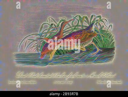 Große Rotbrustbahn, oder Frischwasser-Marsch Hen, gemeinsame Rallye (Rallye elegans), signiert: J.J. Audubon, J.T. Bowen, Lithographie, Pl. 309 (Vol 5), Audubon, John James (Drawn), Bowen, J. T. (Lith.), 1856, John James Audubon: The Birds of America: From drawings made in the United States and their territories. New York: Audubon, 1856, neu gestaltet von Gibon, Design von warmen fröhlichen Leuchten von Helligkeit und Lichtstrahlen Ausstrahlung. Klassische Kunst neu erfunden mit einem modernen Twist. Fotografie inspiriert von Futurismus, umarmt dynamische Energie der modernen Technologie, Bewegung, Geschwindigkeit und Kultur revolutionieren. Stockfoto