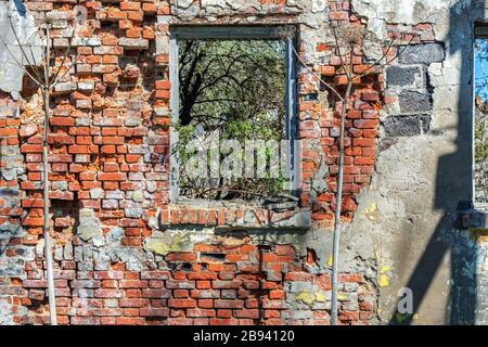 Blick auf eine zerstörte rote Ziegelmauer mit Fensteröffnung eines verlassenen Hauses auf dem Land.