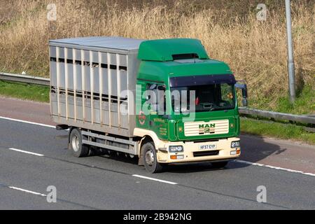 LKW, Transport, LKW, Frachtführer, man-Fahrzeug, europäischer kommerzieller Transport, Industrie, M6 in Manchester, Großbritannien Stockfoto