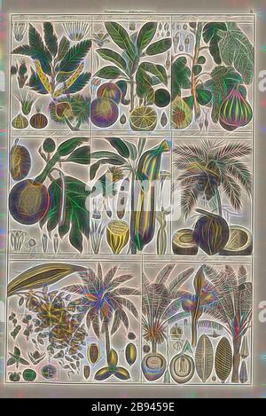 Obstbäume 2, Chestnut Tree, Pomerania, Fig Tree, Bread Tree, Banana Tree, Coconut Tree, Date Palm, Sago Palm, Pl. VI, Heinrich Rudolf Schinz: Abbilder aus der Naturgeschichte. Zürich: Bei Friedrich Schulthess, [1824], von Gibon neu vorgestellt, Gestaltung von warmem, fröhlichem Leuchten von Helligkeit und Lichtstrahlen. Klassische Kunst mit moderner Note neu erfunden. Fotografie, inspiriert vom Futurismus, die dynamische Energie moderner Technologie, Bewegung, Geschwindigkeit und Kultur revolutionieren. Stockfoto