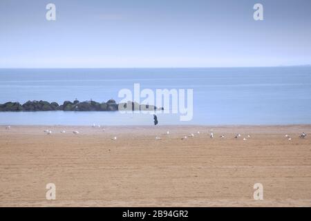 Eine alleinstehende Frau läuft am Coney Island Beach entlang des Ufers. Nichts als Möwen für Unternehmen in dieser Zeit der sozialen Distanzierung während Covid-19. Stockfoto