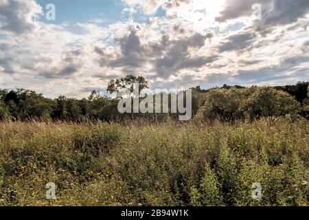 Smolnik am Fluss Oslawa im Bieszczady-Gebirge in Polen Stockfoto