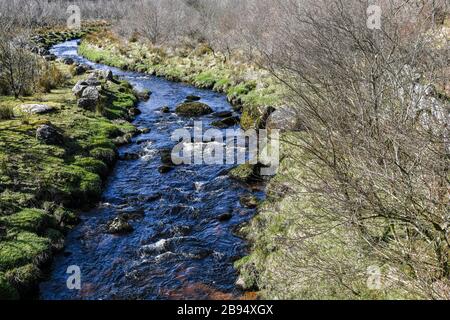 Ein verhülltes Bild des Blackbrook River im Frühling in der Nähe von Princetown im Dartmoor-Nationalpark, Devon, England. März 2020 Stockfoto