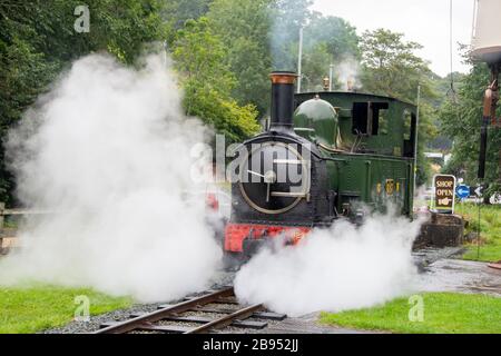 No 823 'Countess', 0-6-0, Dampfmaschine bei Welshpool & Llanfair Light Railway, Welshpool, Powys, Wales. Erbaut von Beyer Peacock im Jahr 1902. Stockfoto