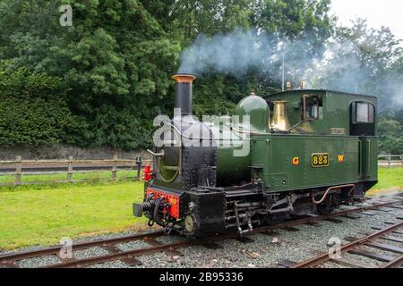 No 823 'Countess', 0-6-0, Dampfmaschine bei Welshpool & Llanfair Light Railway, Welshpool, Powys, Wales. Erbaut von Beyer Peacock im Jahr 1902. Stockfoto