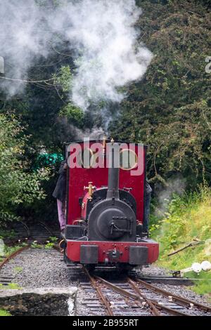 Schmalspurdampfmaschine, 'Maid Marion', gebaut 1903, bei Bala Lake Railway, Bala, Gwynedd, Wales Stockfoto