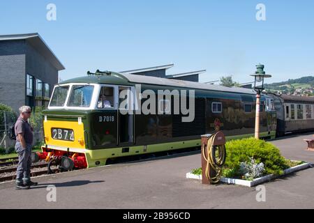 British Railways Western Region "Hymek", Klasse 35, Diesel Hydraulic Locomotive in Minehead an der "West Somerset Railway, Minehead, Somerset, England Stockfoto