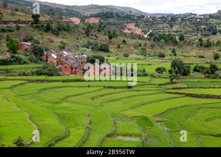 Reisterrassen und typische Dörfer auf dem Plateau zwischen Antsirabe und Antananarivo Stockfoto