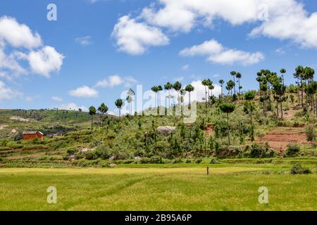 Traditionelle Lehmhäuser und Reisfelder in Madagaskar Stockfoto