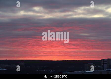 Greller scharlachroter Sonnenuntergang oder Sonnenaufgang über dem Horizont. Rosafarbene Wolken, die von der Sonne über dem Horizont beleuchtet werden. Stockfoto