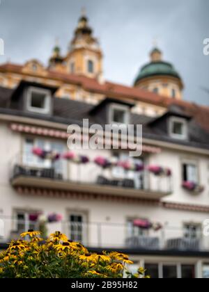 MELK, ÖSTERREICH -13. JULI 2019: Hübsche Sommerblumen mit defokussierten Gebäuden der Altstadt im Hintergrund Stockfoto