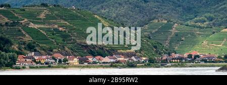 SPITZ, ÖSTERREICH - 13. JULI 2019: Panoramablick auf das Dorf entlang der Donau und die terrassenförmig angelegten Weinberge über dem Dorf Stockfoto