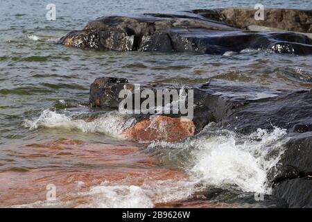 Wellen, die in Helsinki, Finnland, auf Felsen treffen. Wunderschönes Foto, das die Kraft und Stärke des Meeres bei windigem Wetter darstellt. Wellen können gefährlich sein. Stockfoto