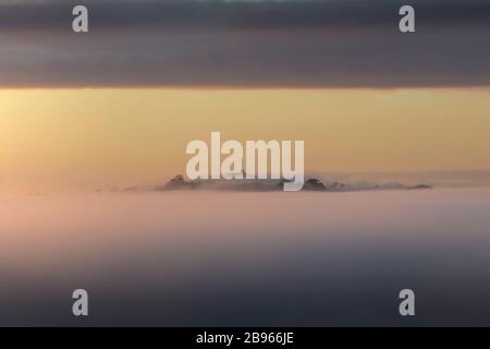 One Tree Hill (Maungakiekie), umgeben von Nebel am frühen Morgen, wie er vom Mount Albert, Auckland aus gesehen wird Stockfoto