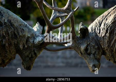 Details der Bronzestatue der Fighting Red Deer Hirsch Geweiler in Killarney, County Kerry, Irland Stockfoto