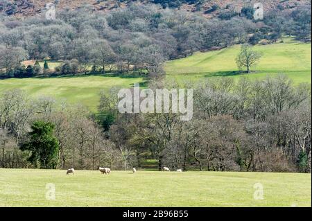 Gospel Pass, (Bwlch Yr Efengy), Wales Stockfoto