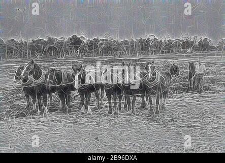 Negativ - Rainbow, Victoria, 1910, EIN Team von sieben Pferden pflügt ein Feld., von Gibon neu vorgestellt, Design von warmem fröhlichem Leuchten von Helligkeit und Lichtstrahlen. Klassische Kunst mit moderner Note neu erfunden. Fotografie, inspiriert vom Futurismus, die dynamische Energie moderner Technologie, Bewegung, Geschwindigkeit und Kultur revolutionieren. Stockfoto