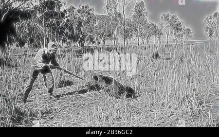 Negativ - Schweineschlachtung, Mildura District, Victoria, 1936, Mann, der ein Schwein schießt., von Gibon neu vorgestellt, Design von warmem, fröhlichem Leuchten von Helligkeit und Lichtstrahlen. Klassische Kunst mit moderner Note neu erfunden. Fotografie, inspiriert vom Futurismus, die dynamische Energie moderner Technologie, Bewegung, Geschwindigkeit und Kultur revolutionieren. Stockfoto