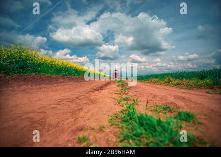 Roter Traktor in einem Feld und dramatische Wolken Stockfoto