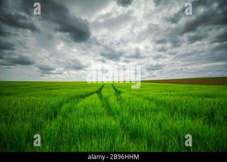 Agricultural fields and dramatic clouds Stockfoto