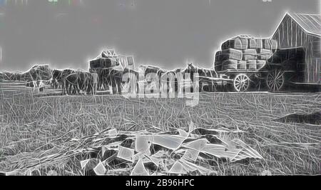 Negativ - Balranald District, New South Wales, ca. 1925, vom Pferd gezogene Wagenladungen Wollballen auf der Station "Tin Tin"., von Gibon neu vorgestellt, Design von warmem, fröhlichem Leuchten von Helligkeit und Lichtstrahlen. Klassische Kunst mit moderner Note neu erfunden. Fotografie, inspiriert vom Futurismus, die dynamische Energie moderner Technologie, Bewegung, Geschwindigkeit und Kultur revolutionieren. Stockfoto