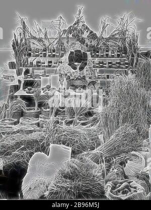 Negativ - Ausstellung von Produkten, Royal Melbourne Show, Flemington, Victoria, 1914, die Ausstellung des 1. Preisviertels auf der Royal Melbourne Show 1914. Alle gezeigten Produkte wurden auf der Farm "Boxdale" in Nhill produziert. Das Foto, das links von der Ausstellung zu sehen ist, wurde von James Batson aufgenommen und entwickelt. Es wurde von Gibon neu vorgestellt und zeigt ein warmes, fröhliches Leuchten von Helligkeit und Lichtstrahlen. Klassische Kunst mit moderner Note neu erfunden. Fotografie, inspiriert vom Futurismus, die dynamische Energie moderner Technologie, Bewegung, Geschwindigkeit und Kultur revolutionieren. Stockfoto