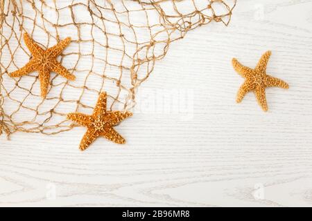Summer time concept with sea shells and starfish on a white wooden background. Stockfoto