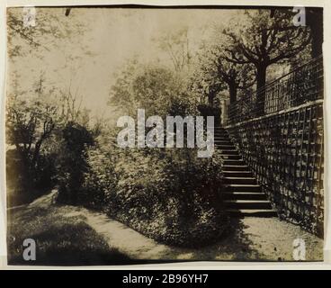 PARK DELESSERT, 32 DOCK Passy, 16. BEZIRK ​​, PARC Delessert Paris, 32 quai de Passy, Paris (XVIème arr.), 1914. Photographie d'Eugène Atget (1857-1927). Paris, musée Carnavalet. Stockfoto