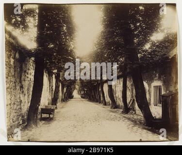 HALLEN DES WEINLAGERS Bercy, 12. BEZIRK, PARIS Halles aux vins des entrepôts de Bercy, Paris (XIIème arr.), 1913. Photographie d'Eugène Atget (1857-1927). Paris, musée Carnavalet. Stockfoto