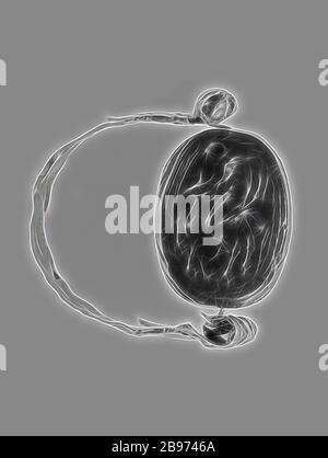 Eingraviert Scarab in einen Ring, unbekannt, Etrurien, 4. - 3. Jahrhundert v. Chr., Scarab: Karnelisch, Ring: Gold, 0,2 × 0,1 × 0,8 cm (1/16 × 1/16 × 5/16 in.), von Gibon neu gefasst, Design von warmem, fröhlichem Leuchten von Helligkeit und Lichtstrahlen. Klassische Kunst mit moderner Note neu erfunden. Fotografie, inspiriert vom Futurismus, die dynamische Energie moderner Technologie, Bewegung, Geschwindigkeit und Kultur revolutionieren. Stockfoto