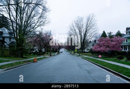 Leere Straßen in der Innenstadt von Princeton, New York, sind heute das Epizentrum der globalen Coronavirus-Pandemie, und die Menschen werden gebeten, sich zu schützen. Stockfoto