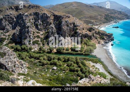 Der Strand Preveli im Süden Kretas mit Palmen und klarem Wasser; Crete; Griechenland Stockfoto