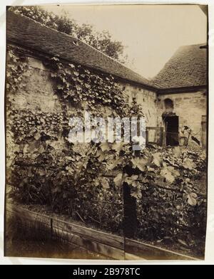 HALLEN DES WEINLAGERS Bercy, 12. BEZIRK, PARIS Halles aux vins des entrepôts de Bercy, Paris (XIIème arr.), 1913. Photographie d'Eugène Atget (1857-1927). Paris, musée Carnavalet. Stockfoto