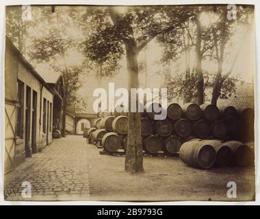 HALLEN DES WEINLAGERS Bercy, 12. BEZIRK, PARIS Halles aux vins des entrepôts de Bercy, Paris (XIIème arr.), 1913. Photographie d'Eugène Atget (1857-1927). Paris, musée Carnavalet. Stockfoto