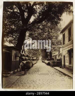 HALLEN DES WEINLAGERS Bercy, 12. BEZIRK, PARIS Halles aux vins des entrepôts de Bercy. Paris (XIIème arr.), 1913. Photographie d'Eugène Atget (1857-1927). Paris, musée Carnavalet. Stockfoto