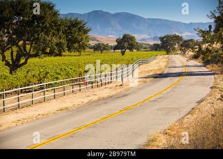 Weinberge entlang einer Straße im Santa Ynez Valley, Kalifornien Stockfoto